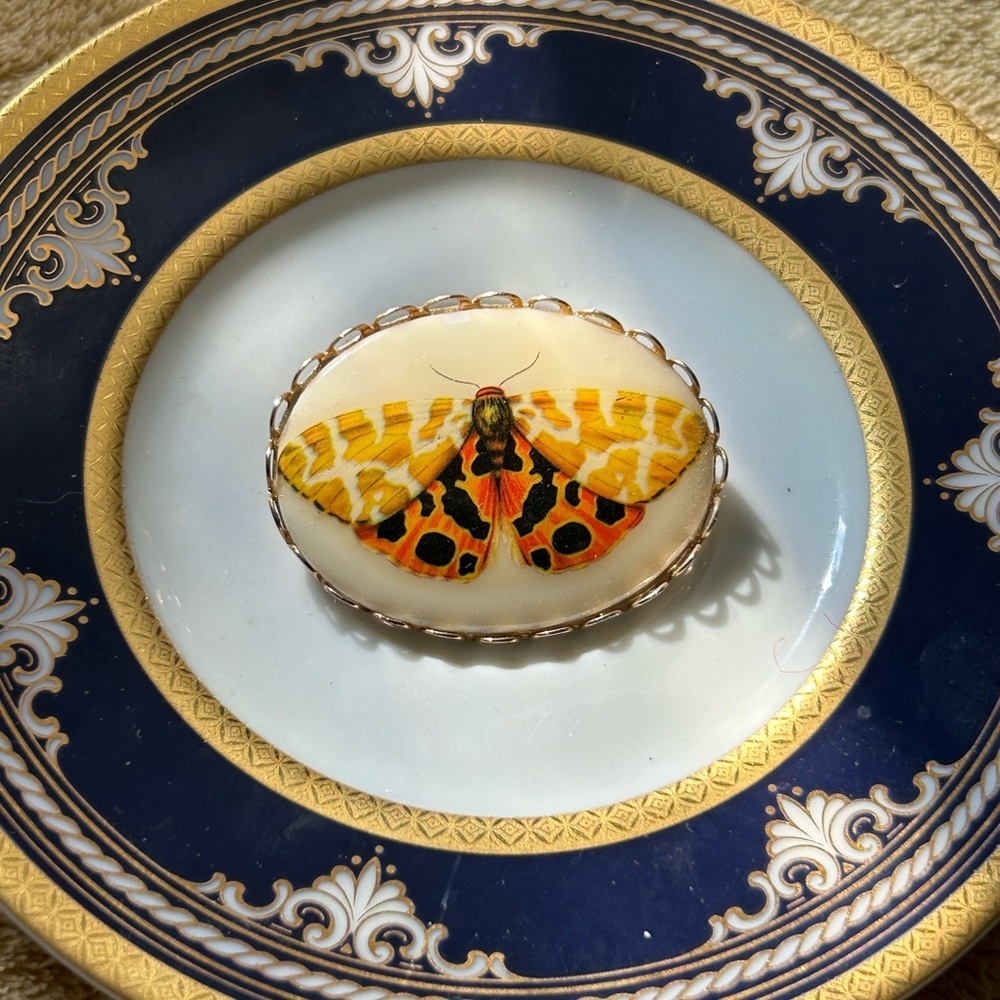 Vintage Porcelain Butterfly Cameo Brooch